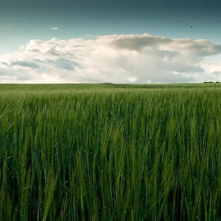 El Encuentro Del Duratón Castro de Fuentidueña