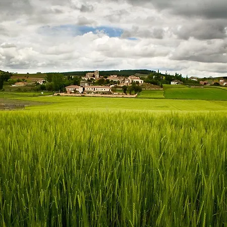 El Encuentro Del Duratón *