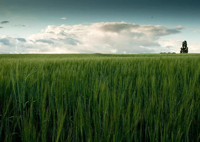 El Encuentro Del Duraton Castro de Fuentidueña
